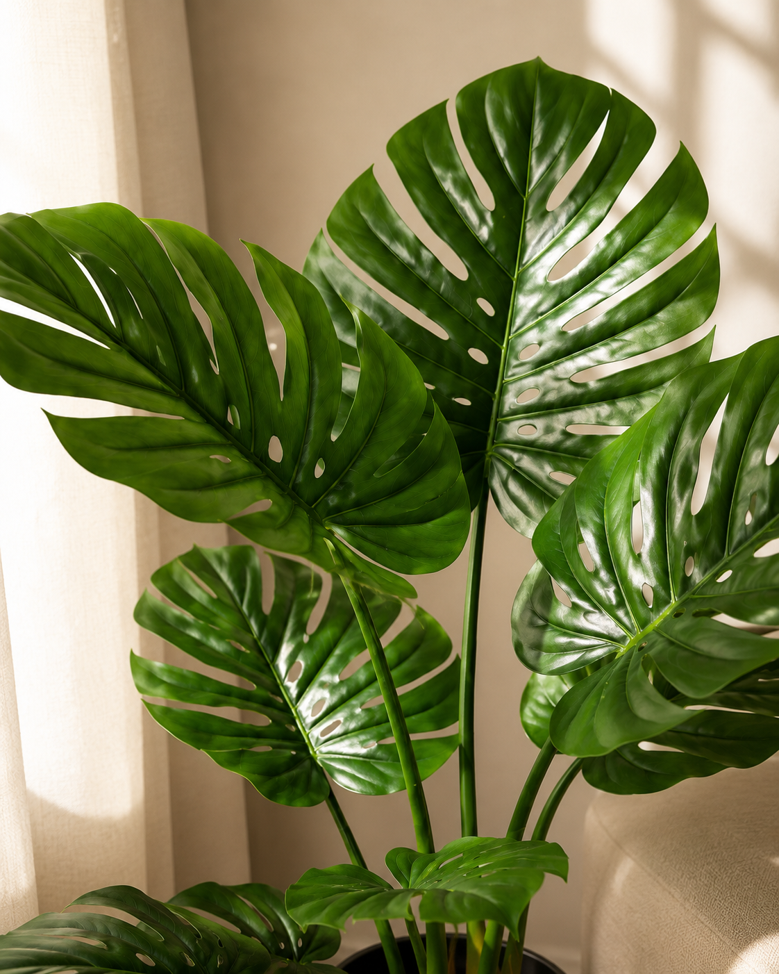Urban Monstera 110 cm