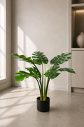 Little Monstera 80 cm